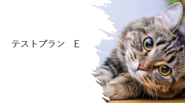 【テストプランE】みんなでいっしょに 賠償責任保険 ★プラン81テスト版 ★不成立