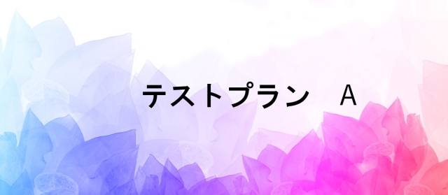 【テストプランA】 弁護士保険 ★12月1日から募集★プラン79テスト版